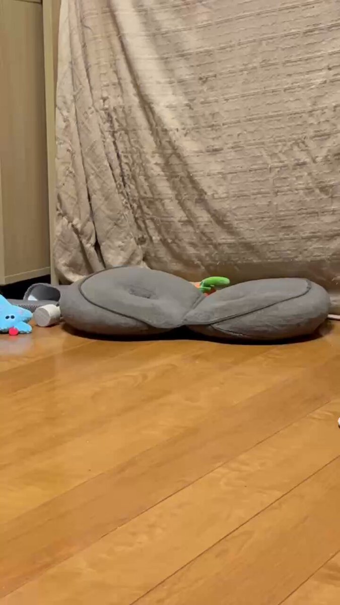 うちの子、確実に「忙しい」 · 麻倉瑞季