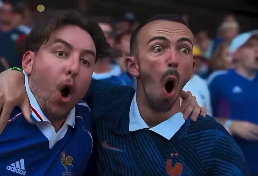 Best clip ever🤣 #worldcup #france vs #sweden · 泥JANiE | Jane.lin