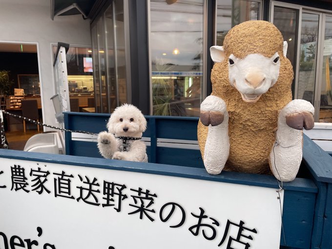 まねっこ犬🐶 · 福田ゆあ