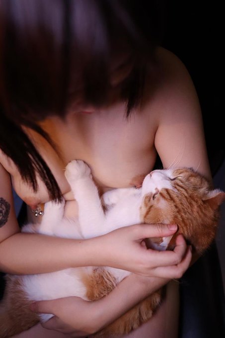 喵喵毛茸茸的好舒服🐈 · Lunana