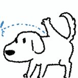 玩了这么久新赛季才发现霞洛是一体牌 · 海克斯科技