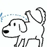 玩了这么久新赛季才发现霞洛是一体牌 · 海克斯科技