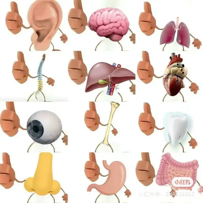 山东人就应该吃馒头！我的生命之光，欲念之火！ · 海克斯科技