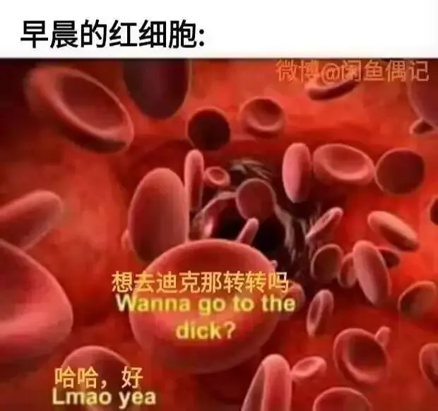 救命啊窜稀太多次pyz好痛(⇀‸↼‶) · 海克斯科技