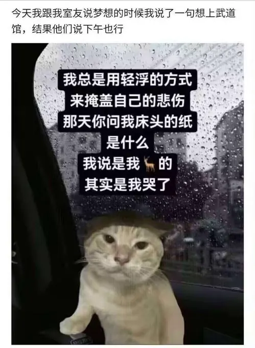 上肢进步好慢💔💔💔 · 海克斯科技