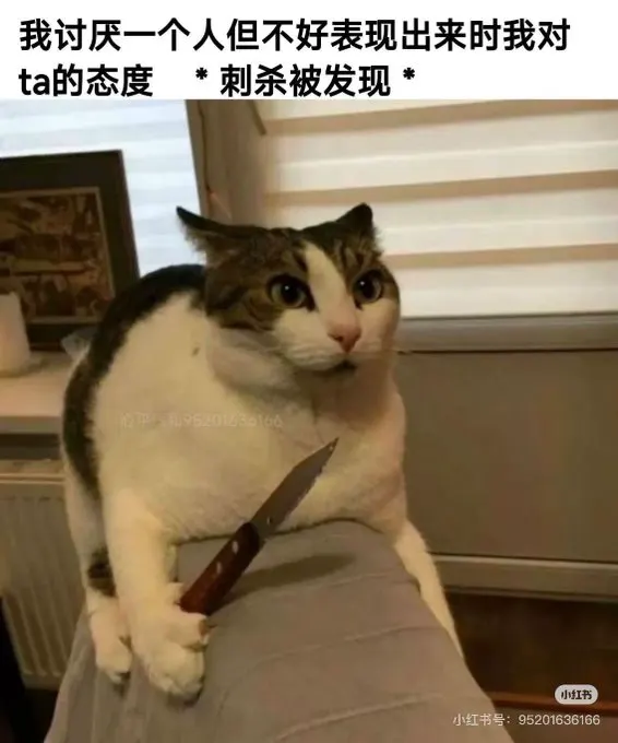 😋其实女仆那套还有白丝的 · 海克斯科技