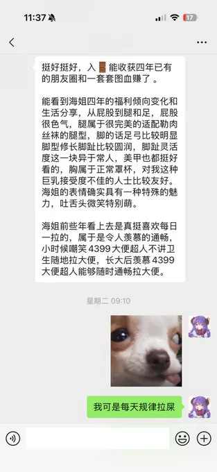 入门反馈之祝大家天天通畅 · 海克斯科技