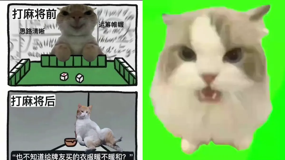! · 喜多川💕