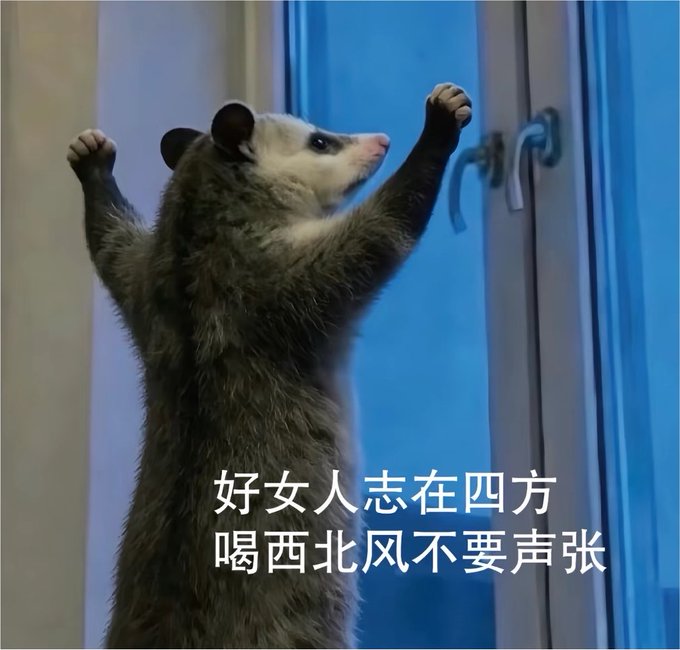 三天之期已到！ · 喜多川💕