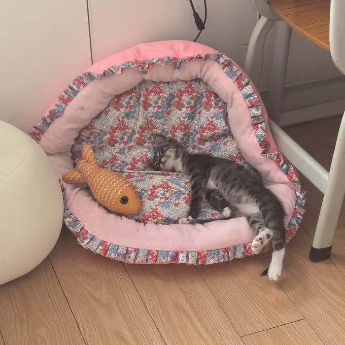 给死了一样 · 喜多川💕