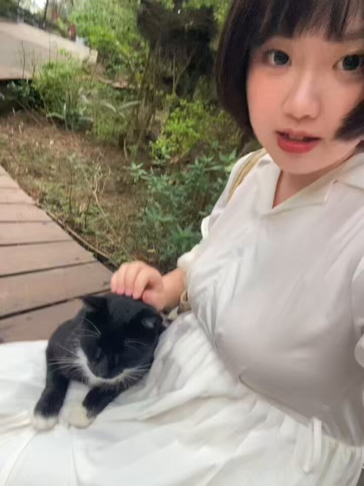 不認識的貓咪自己跑來我腿上踏踏 還被摸到發出呼嚕聲...可愛死... · 麻糬