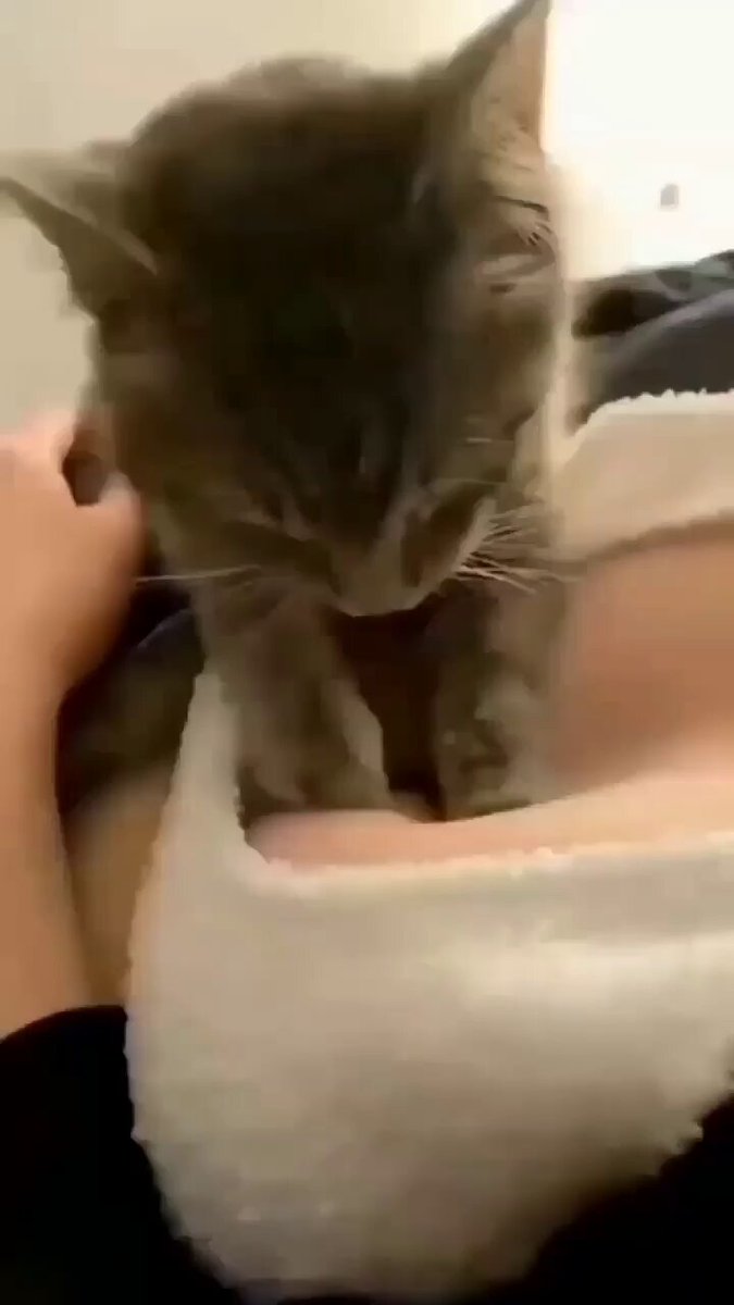 pagi pagi di bangunin meng, padahal mumpung hari libur bisa tidur sepuasnya · kayla