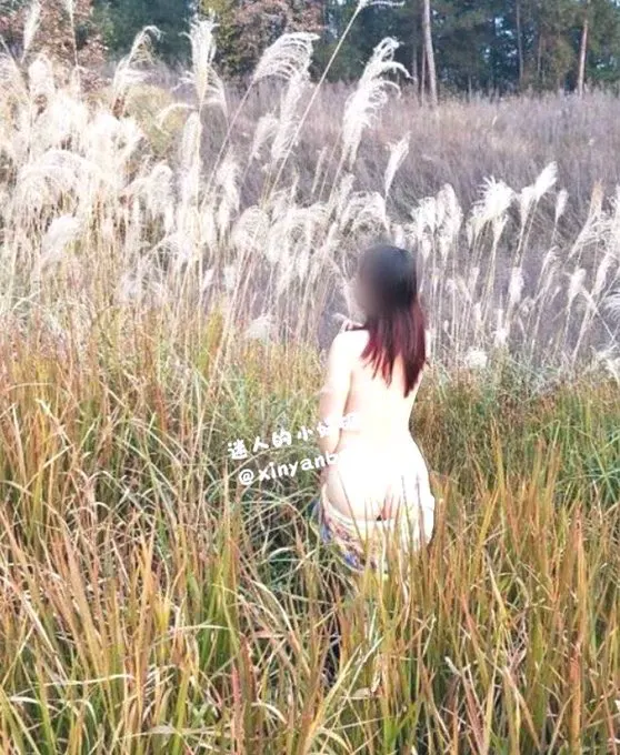 蒹葭苍苍，白露为霜， 所谓伊人，芦苇中央。 · 迷人的小婊砸