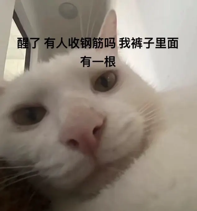 X 的私信沒看 直到下了 XChat 才发现粉丝发的私訊 在回了 在回了 … · 𝑱𝒐𝑱𝒐