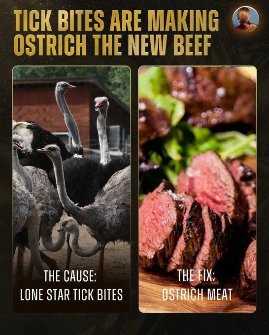 Lone Star tick bites are causing a growing red meat allergy called "alpha-gal s… · non aesthetic things