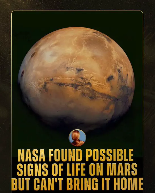 NASA might've found signs of ancient alien life on Mars, but the mission to act… · non aesthetic things