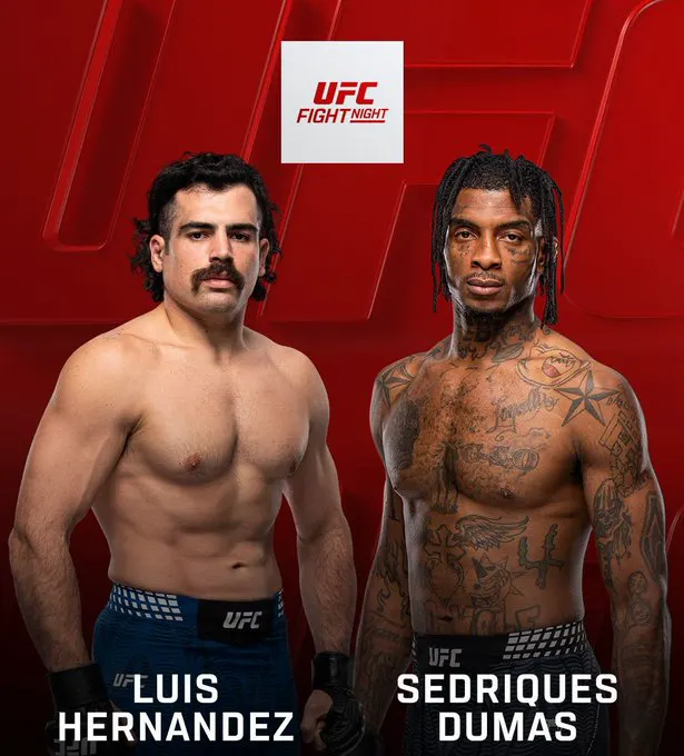 Miami police officer Luis Hernandez makes UFC debut against convicted felon Sed… · non aesthetic things