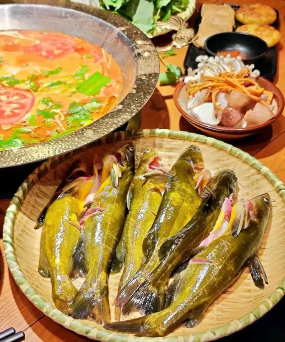 酸湯小黃魚，要不要來一條？ · 短剧速看 每日更新