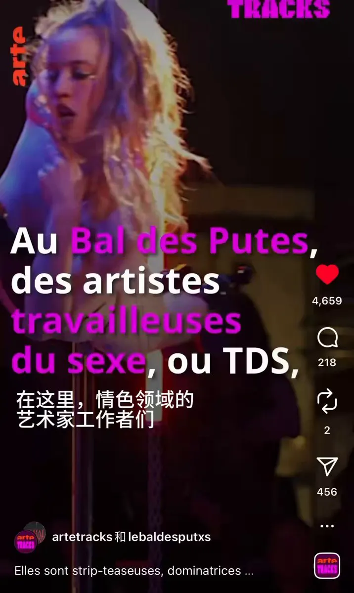 看了一场关于情色工作者的舞台剧《le bal des putes》（直译为妓女舞会），在场的五位演员及总策划Kata Loba都是在法国的风俗业工作者（smc… · 瓦西列娃的日记本