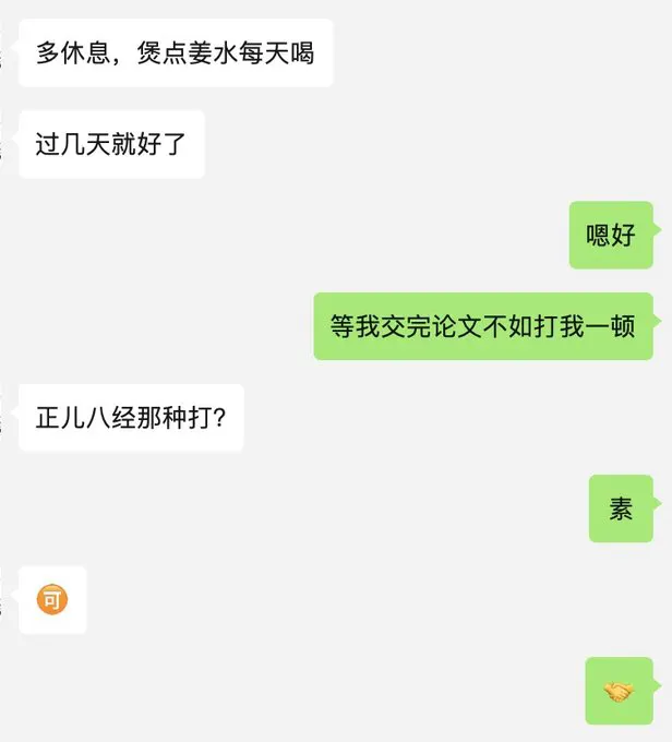 相敬如宾的挨揍预约制 · 瓦西列娃的日记本