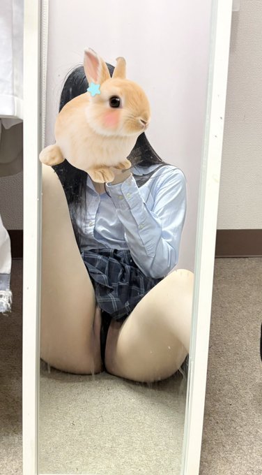 sve.（@raspbeprry）分享的内容