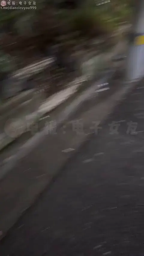 Chudai 🔞 · 心动收藏夹2